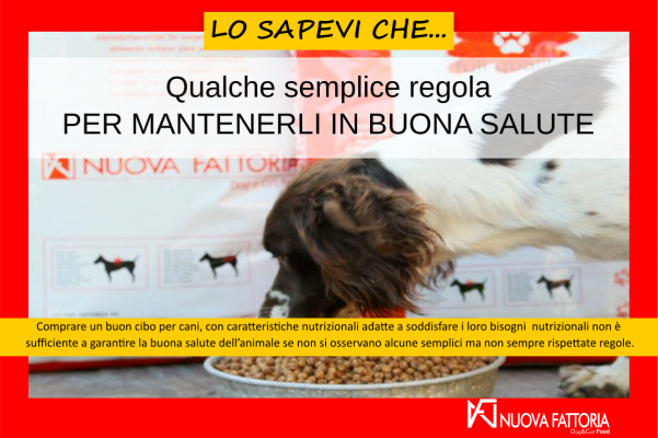 Scopri di più sull'articolo Qualche semplice regola