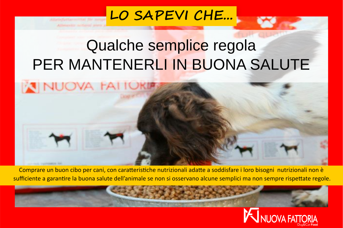 Scopri di più sull'articolo Qualche semplice regola