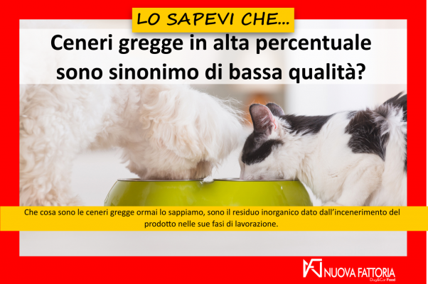 Scopri di più sull'articolo Ceneri Gregge, polvere da tenere nascosta sotto il tappeto oppure no?