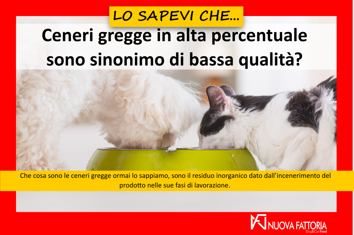 Scopri di più sull'articolo Ceneri Gregge, polvere da tenere nascosta sotto il tappeto oppure no?