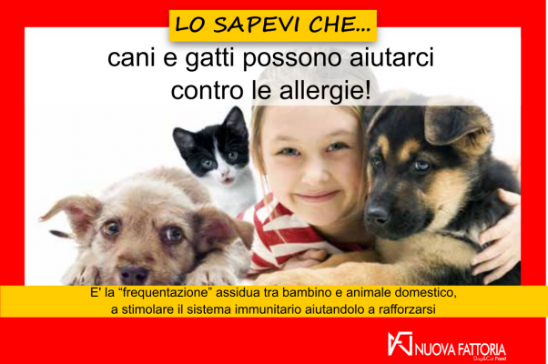 Scopri di più sull'articolo cani e gatti possono aiutarci contro le allergie
