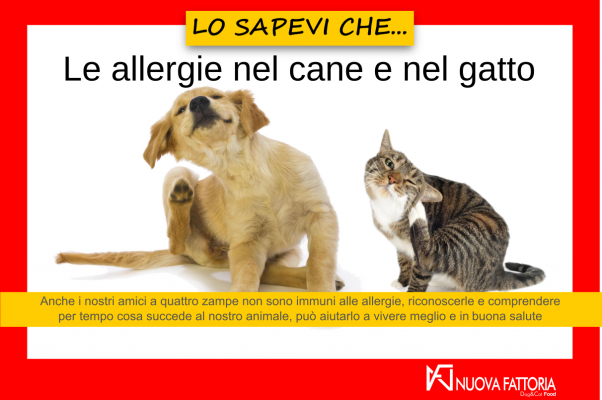 Scopri di più sull'articolo Le allergie nel cane e nel gatto