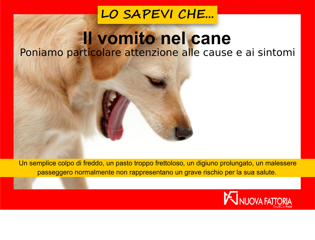 Scopri di più sull'articolo Il vomito nel cane