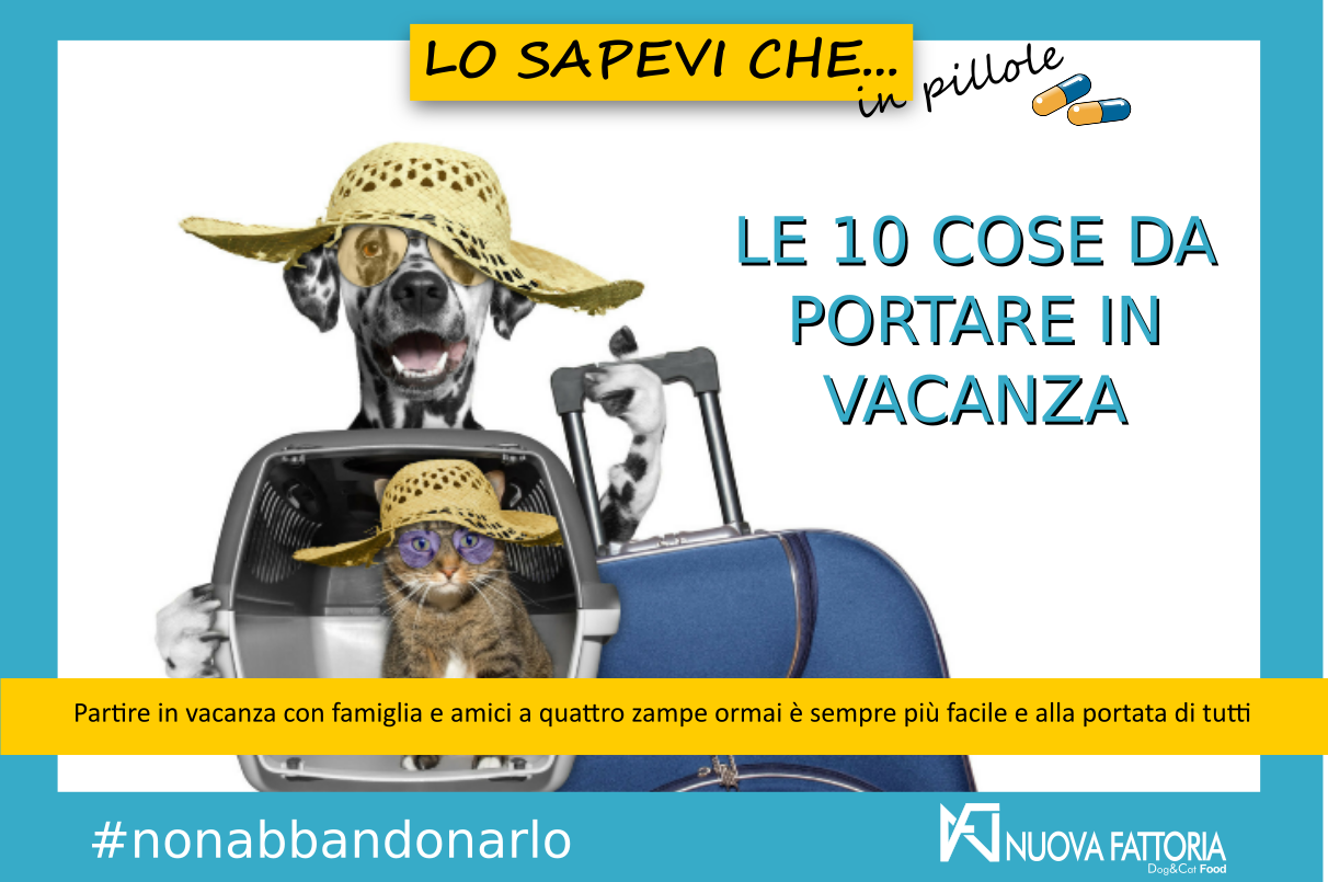 Scopri di più sull'articolo LE 10 COSE DA PORTARE IN VACANZA