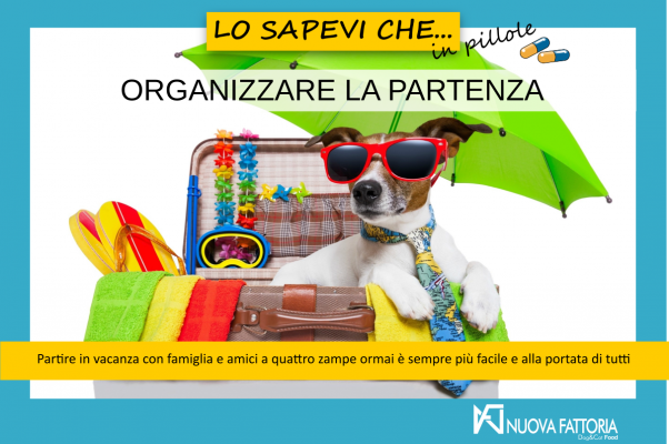 Scopri di più sull'articolo ORGANIZZARE LA PARTENZA