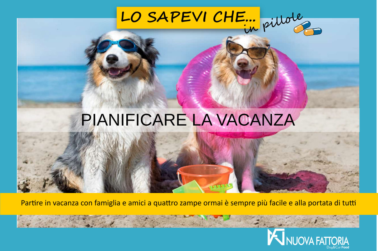 Scopri di più sull'articolo PIANIFICARE LA VACANZA