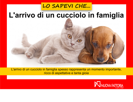 Scopri di più sull'articolo L’ARRIVO DI UN CUCCIOLO IN FAMIGLIA