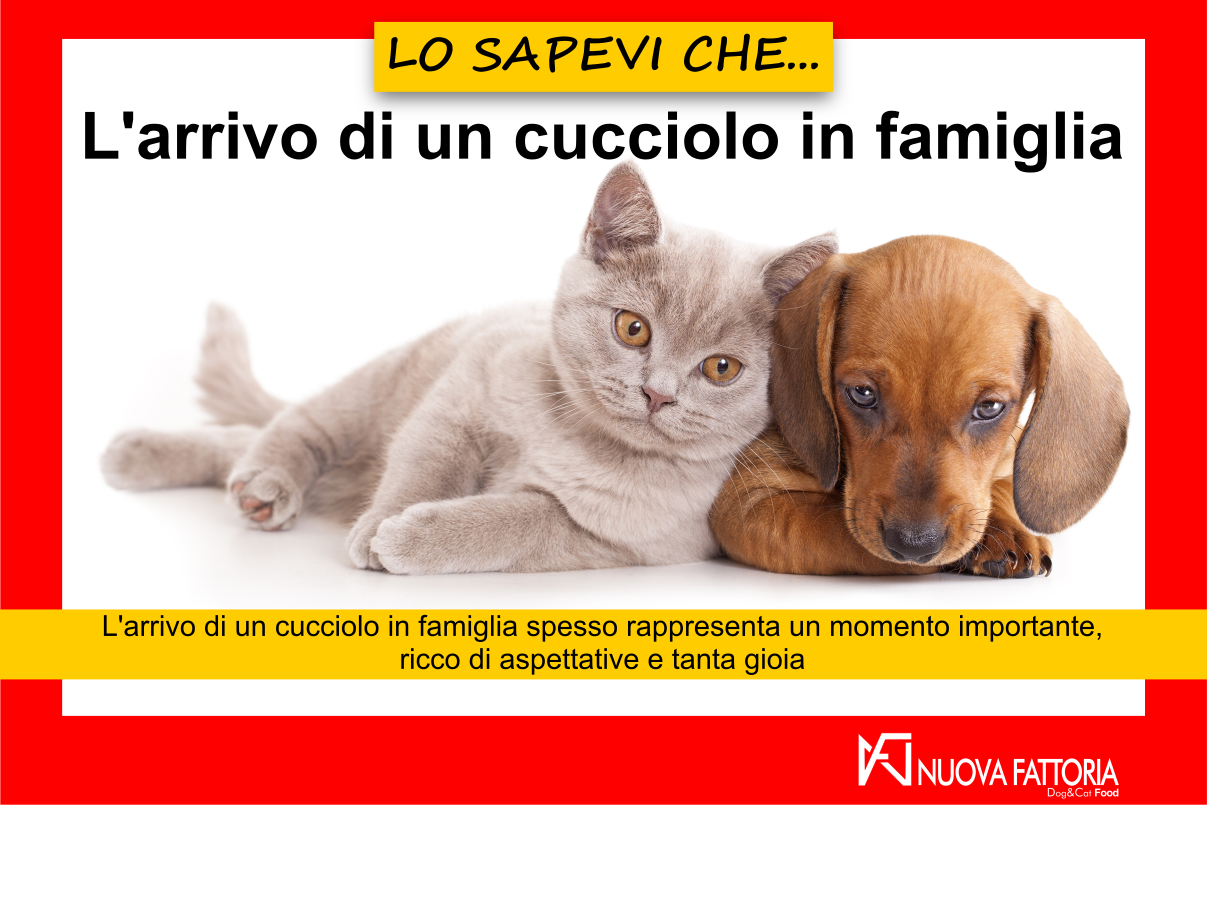 Scopri di più sull'articolo L’ARRIVO DI UN CUCCIOLO IN FAMIGLIA