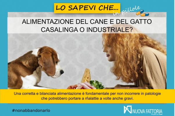 Scopri di più sull'articolo ALIMENTAZIONE DEL CANE E DEL GATTO: CASALINGA O INDUSTRIALE?