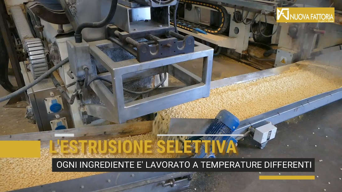 Scopri di più sull'articolo L’ESTRUSIONE SELETTIVA