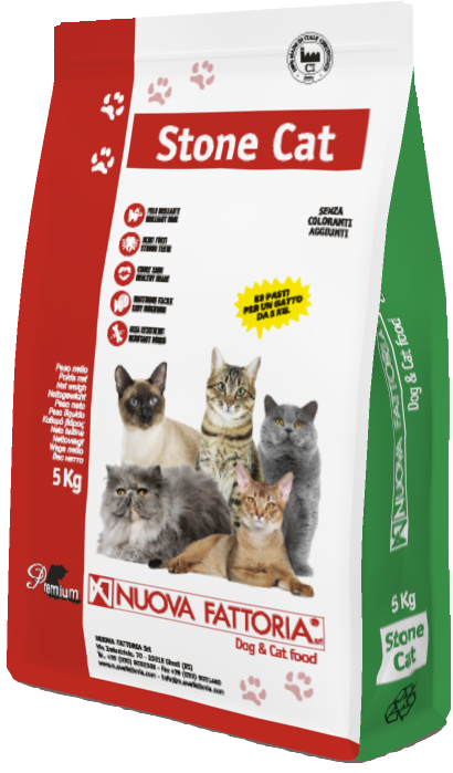 Stone Cat Mangime secco