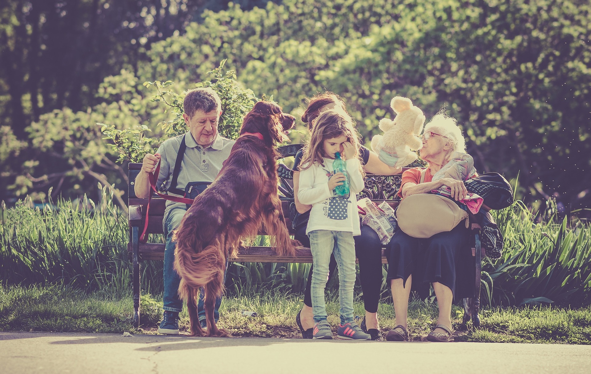 Scopri di più sull'articolo Il cane è uno di famiglia